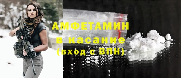 шишки Алексин