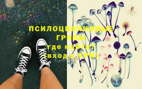 apvp Абаза