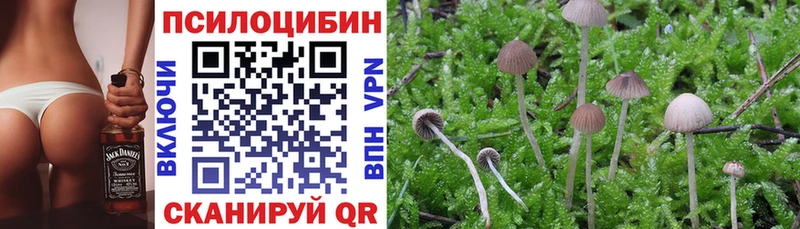 Галлюциногенные грибы GOLDEN TEACHER купить наркотик Тюкалинск